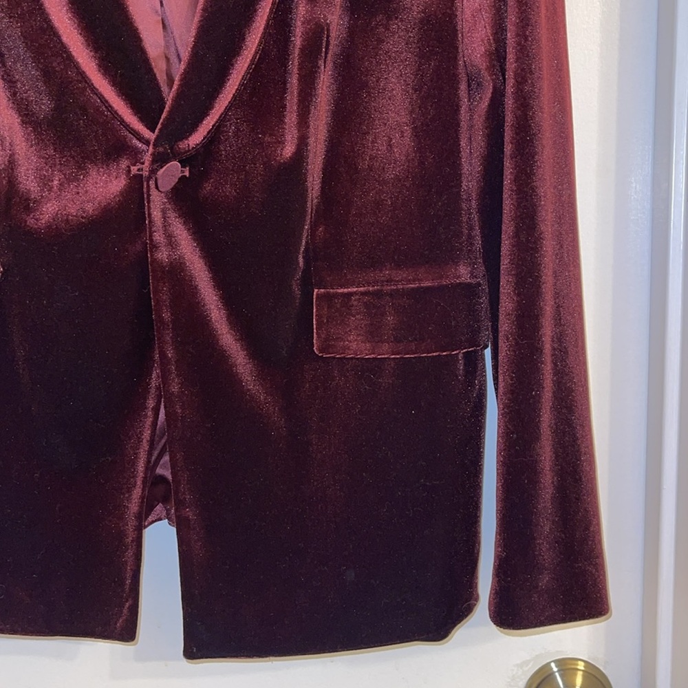 Burgundy velvet blazer - Picture 4 of 5